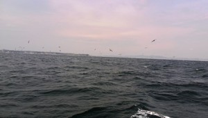 IMG_20140420_093819