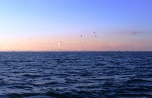 IMG_20141206_072706