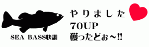 blog_parts_seabass_4