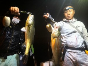2015052602541800