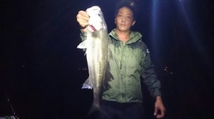 2015090100125401