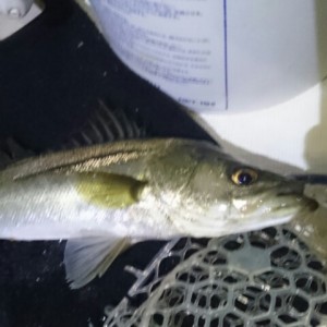 2015090422370302