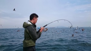 2015092616460000