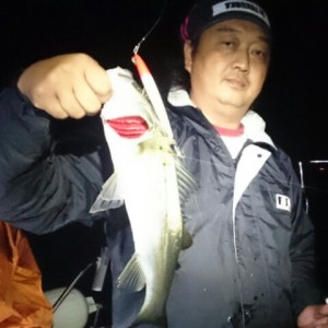 2015093008573800