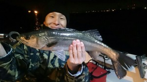 2015111814093600