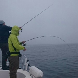 2015111815412400