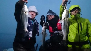 2015111815450200