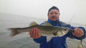2015111815502800