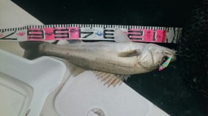 2015112212413200