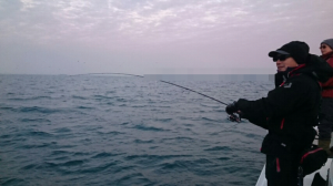 t2pix_20151211-112023