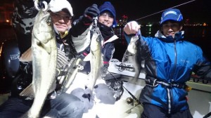 2016020512411000