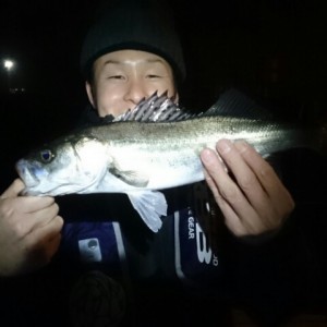 2016021304242800