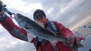 2016022823055100