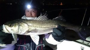 2016030619092500
