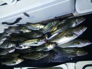 2016060623421900