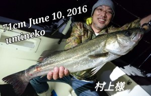 2016061309583000