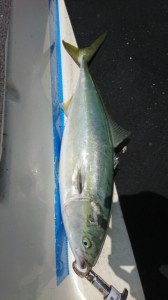2016061816332400