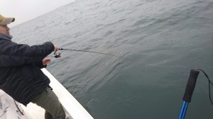 2016110510281700