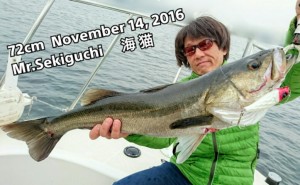 2016111412210400