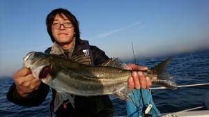 point-blur_20161114_101113