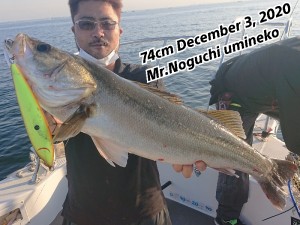 20-12-03-19-51-16-478_deco